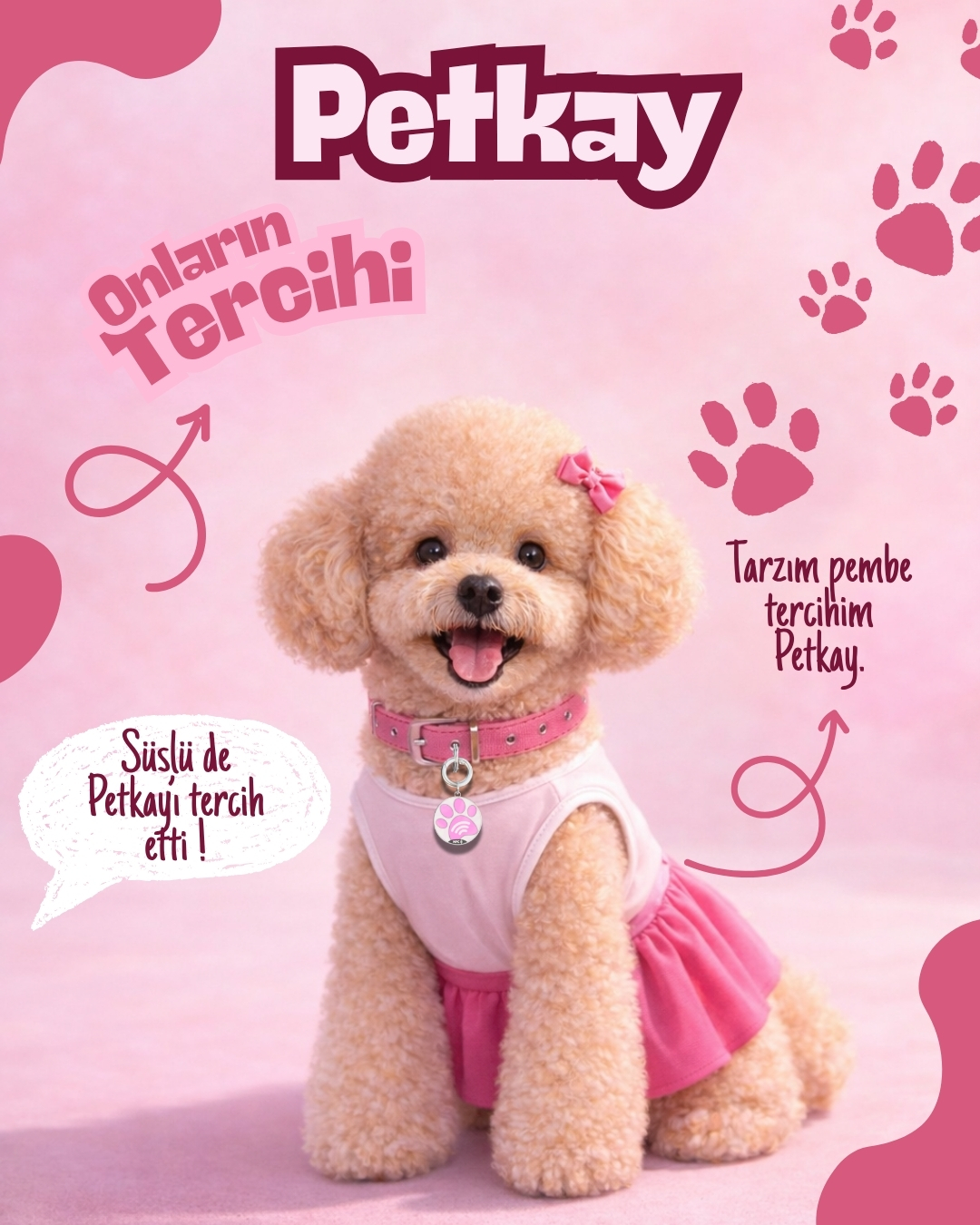 PetKay pembe akıllı künye takan köpek