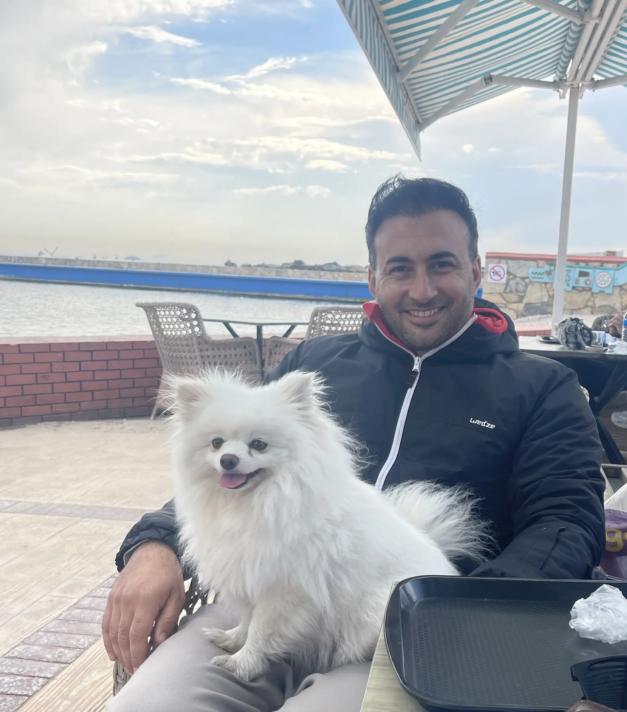 Köpek-Pomeranian | Candy, 14.04.2025 Pazartesi tarihli fotoğrafı
