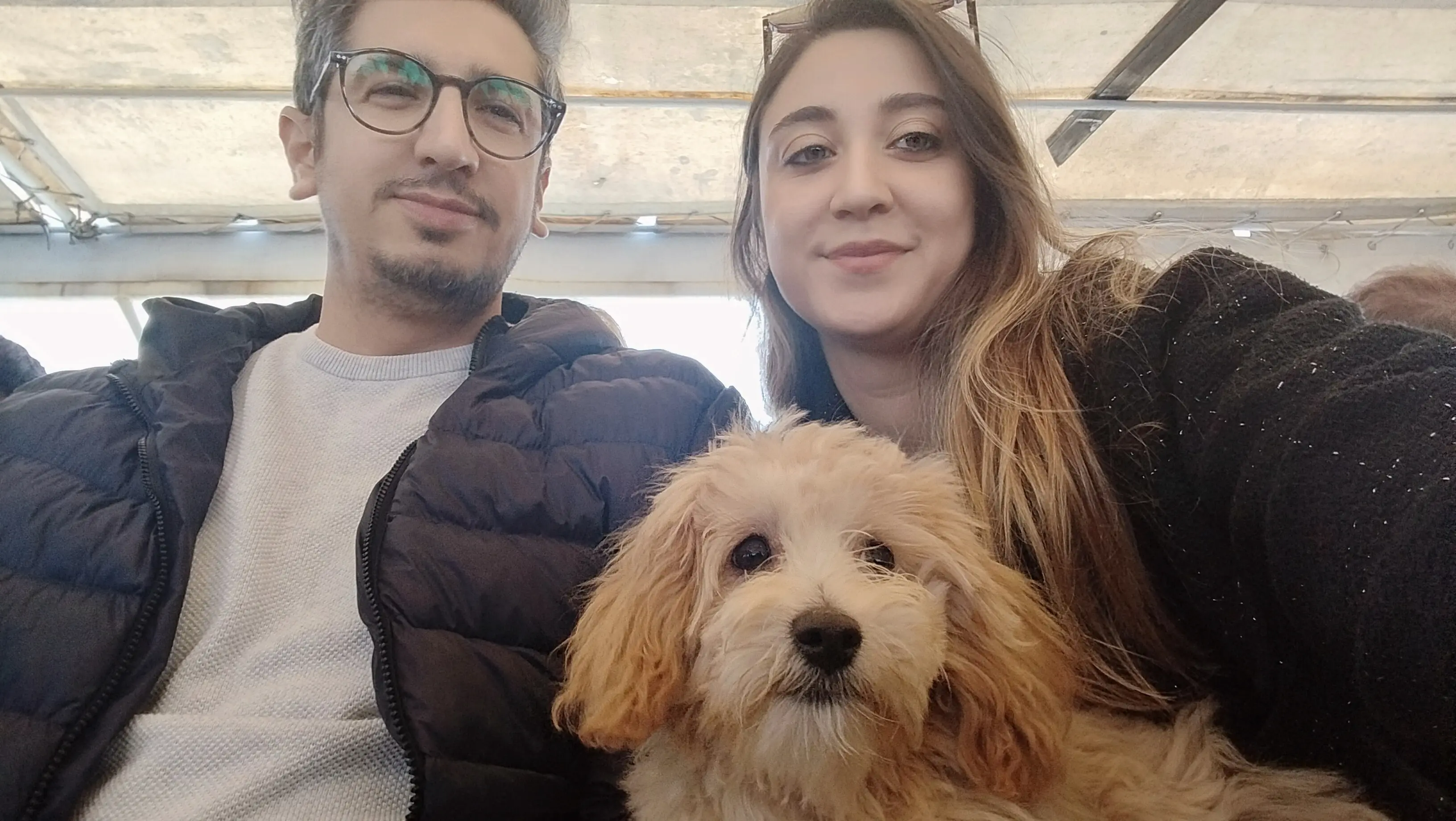 Köpek-Maltese | Barney, 22.04.2025 Salı tarihli fotoğrafı