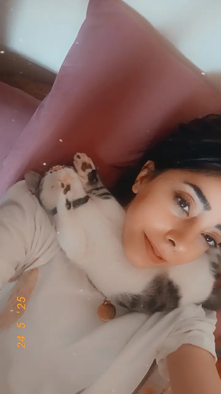 Kedi-Tekir | Çakır , 02.06.2025 Pazartesi tarihli fotoğrafı