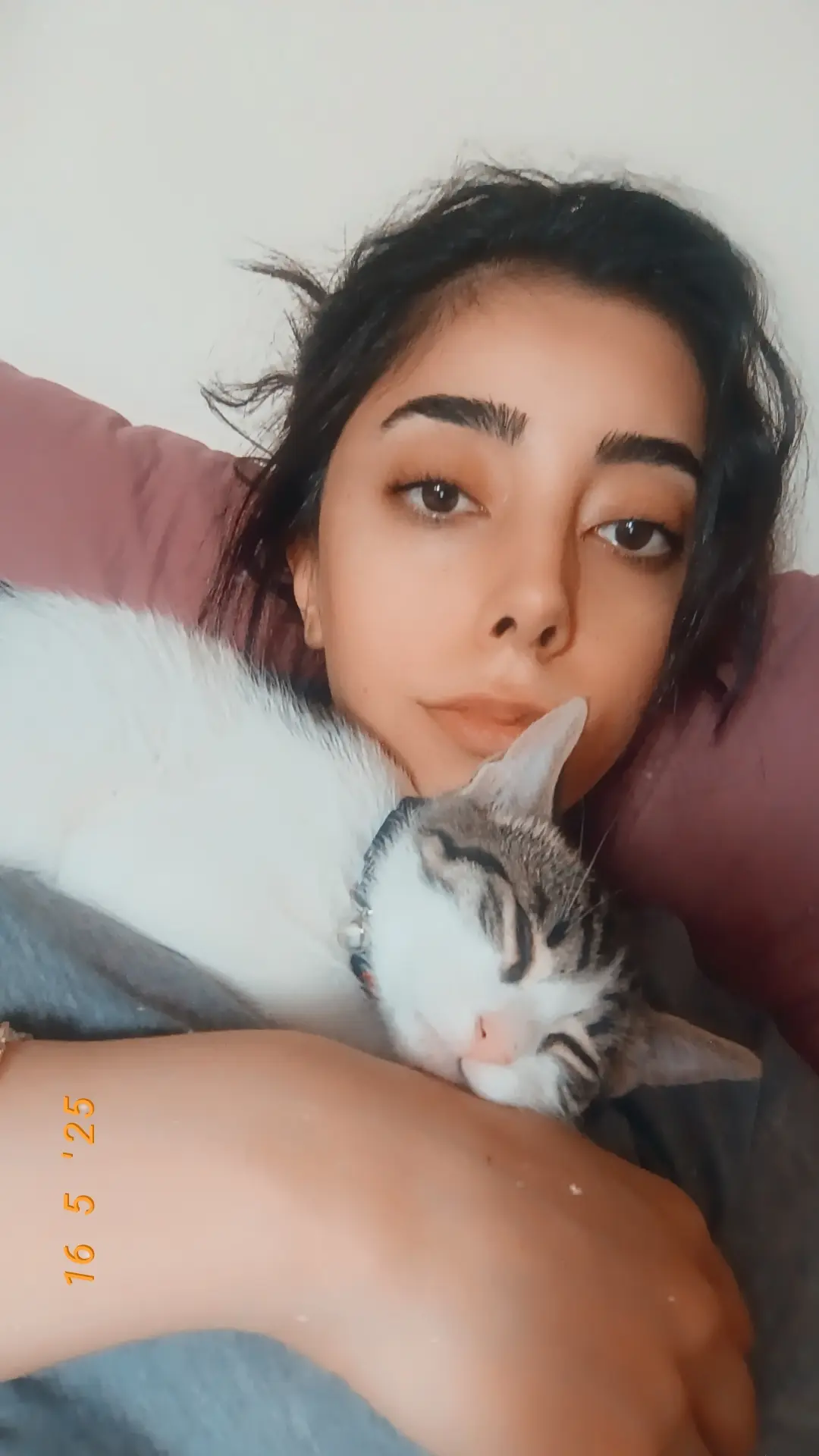 Kedi-Tekir | Çakır , 02.06.2025 Pazartesi tarihli fotoğrafı