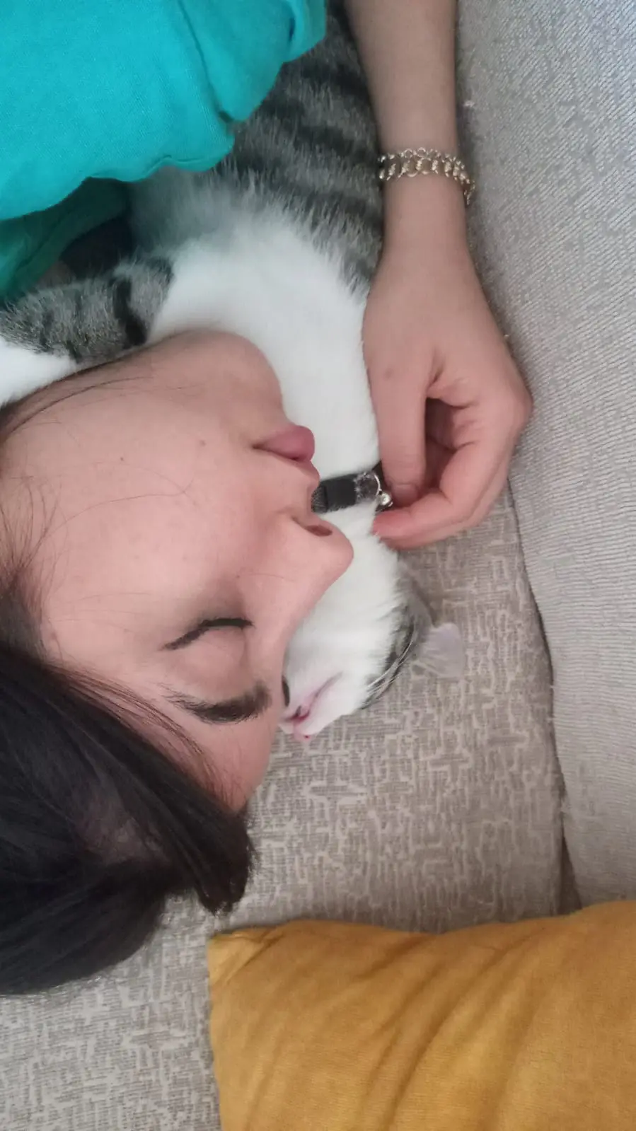 Kedi-Tekir | Çakır , 02.06.2025 Pazartesi tarihli fotoğrafı