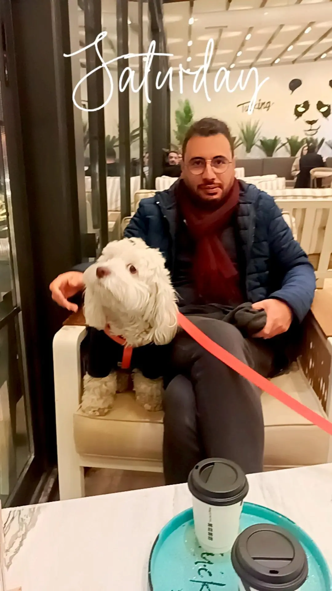Köpek-Maltese | Çakıl, 14.06.2025 Cumartesi tarihli fotoğrafı
