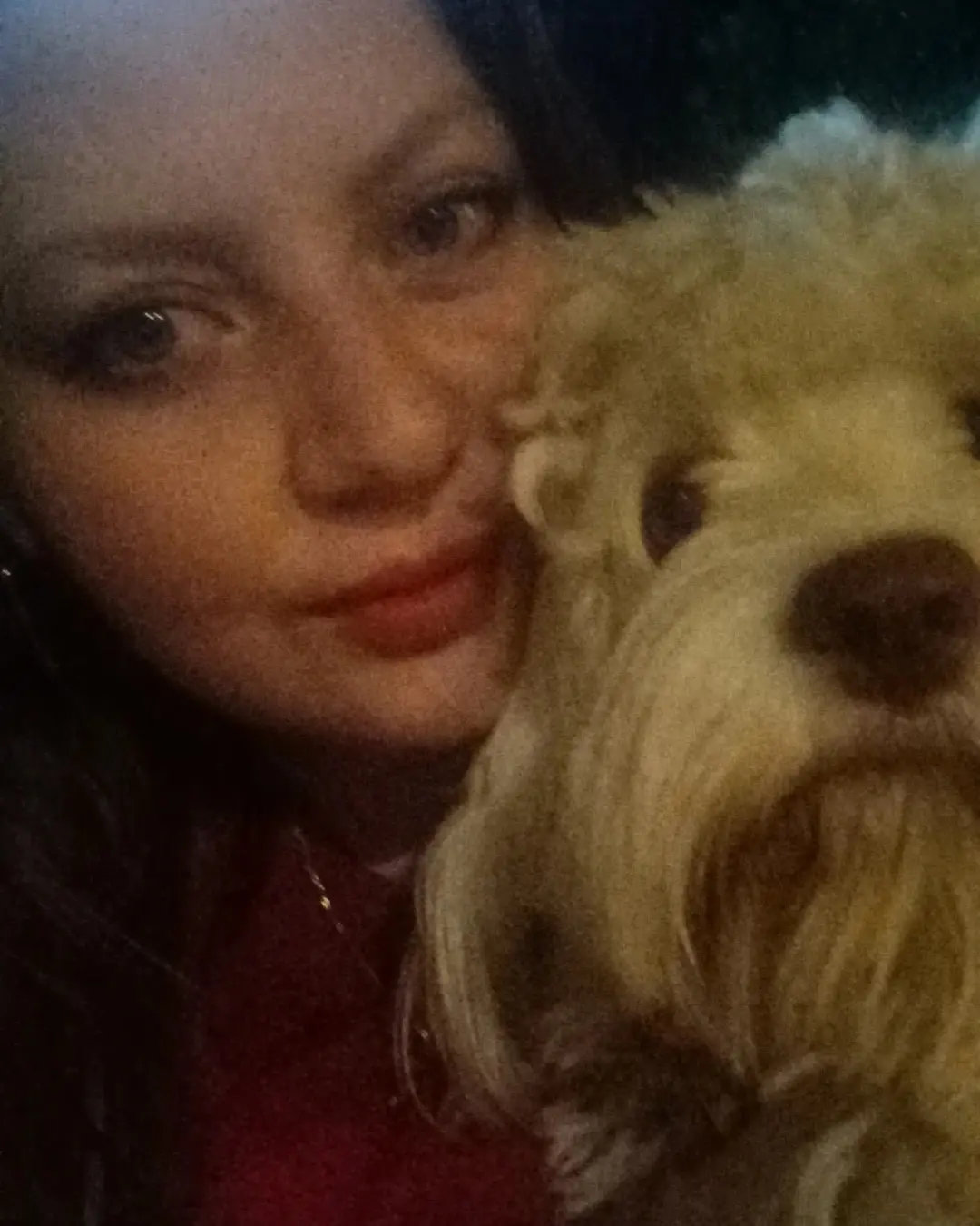 Köpek-Maltese | Çakıl, 14.06.2025 Cumartesi tarihli fotoğrafı