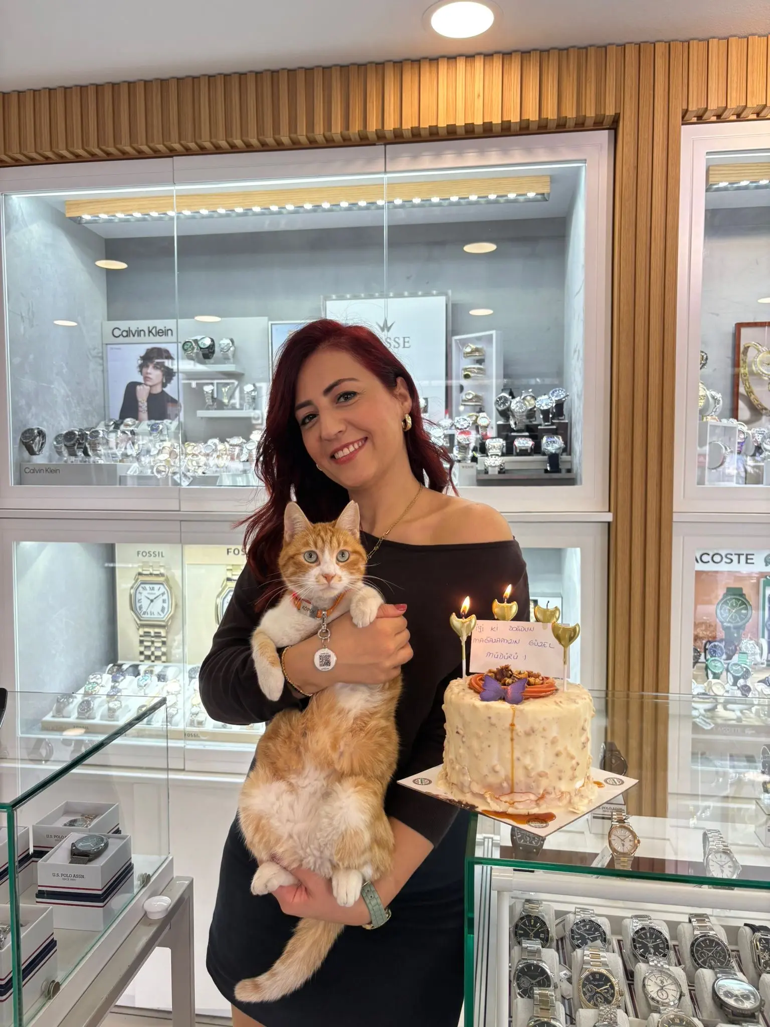 Kedi-Sarman | Köpük🐾, 18.11.2025 Salı tarihli fotoğrafı