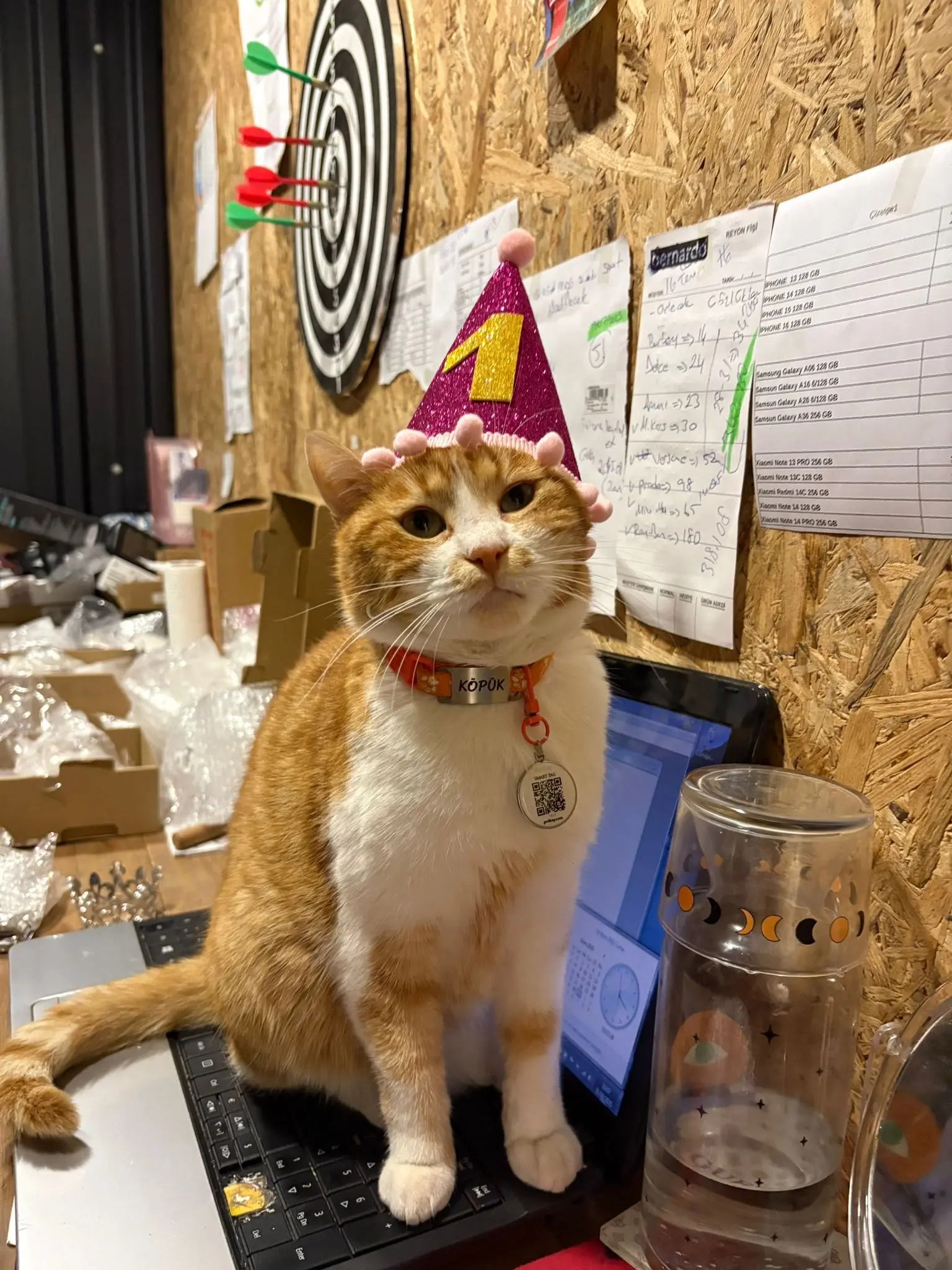 Kedi-Sarman | Köpük🐾, 03.11.2025 Pazartesi tarihli fotoğrafı