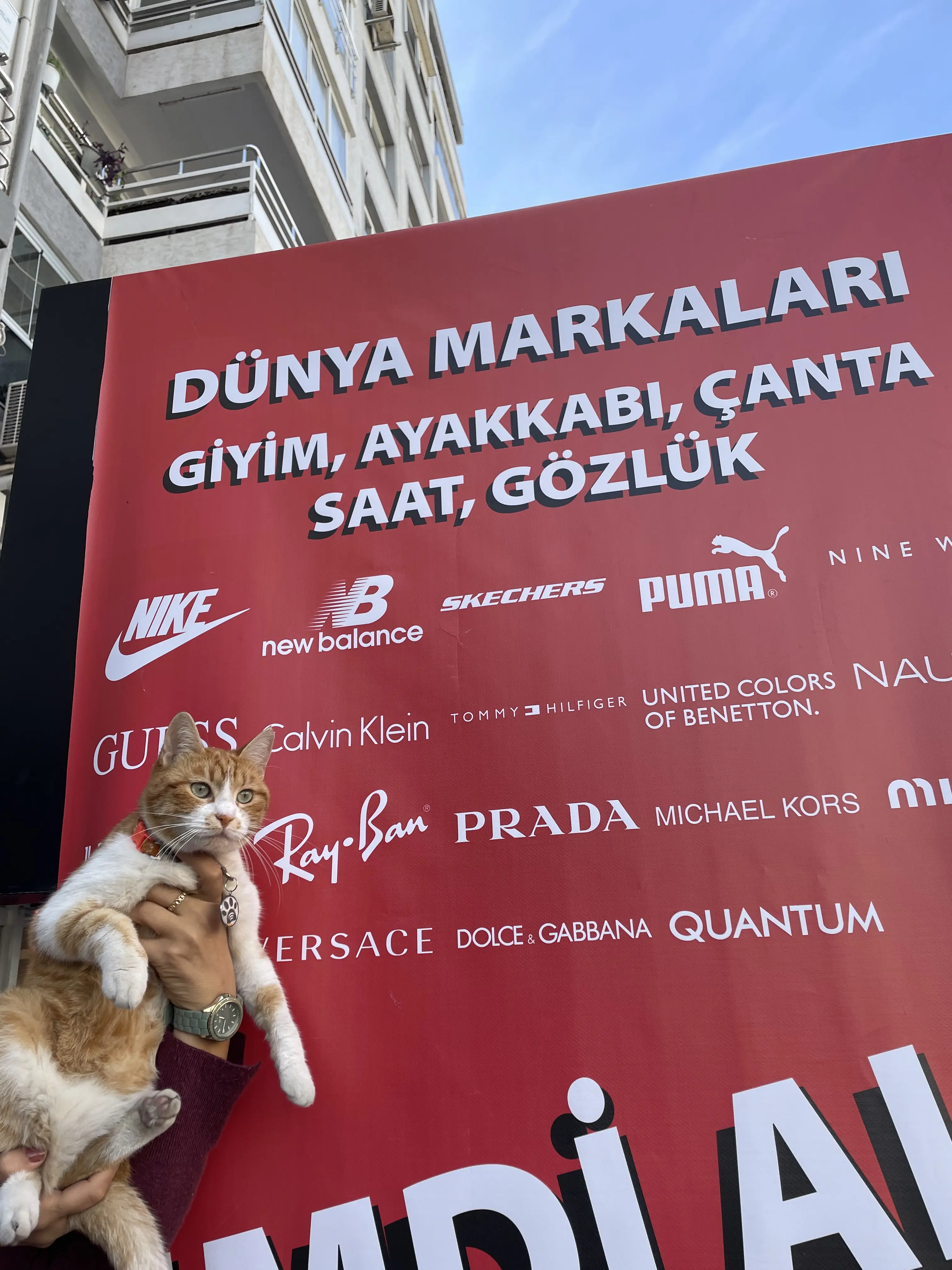 Kedi-Sarman | Köpük🐾, 13.11.2025 Perşembe tarihli fotoğrafı