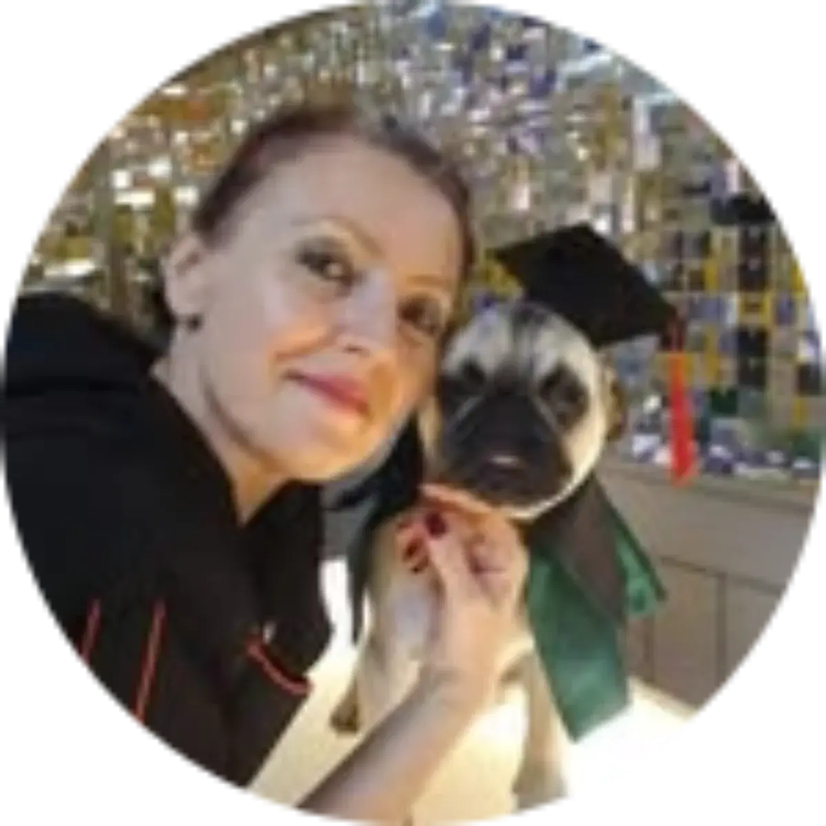 Kokina Pet Kuaför | İstanbul Bakırköy Evcil Hayvan Kuaförü