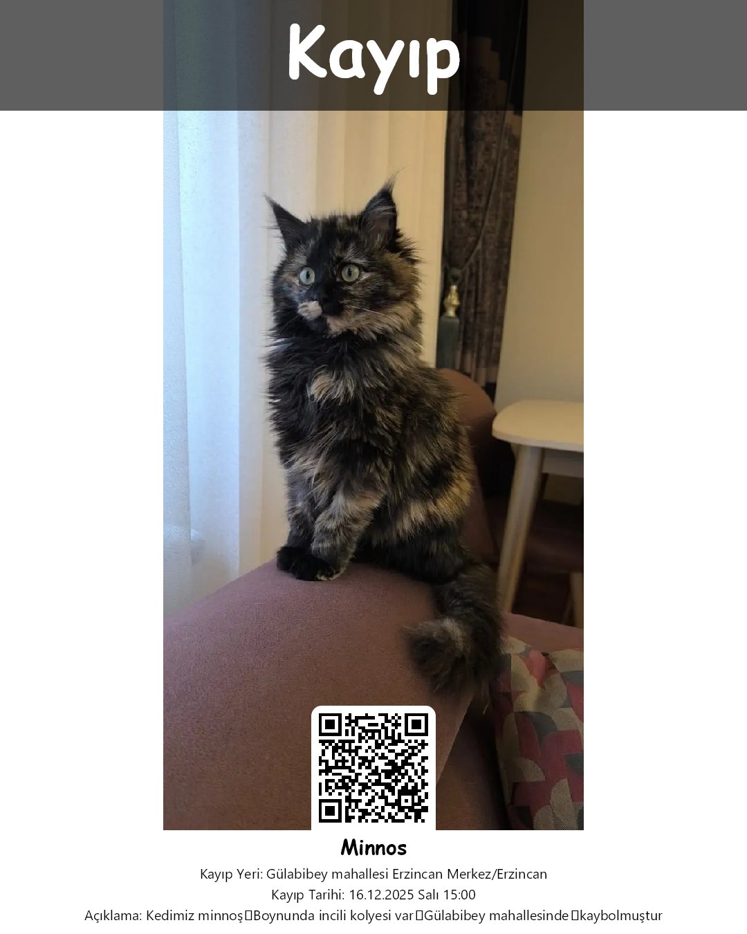 minnos tekir kedi merkez erzincan 36